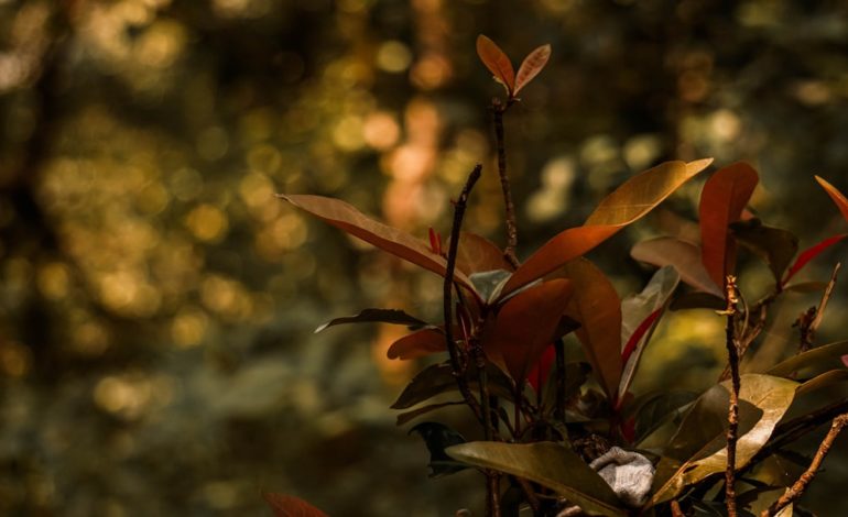 Vastgoedinvesteerders: Hoe behoud ik kwaliteit bij grootschalige renovatieprojecten?